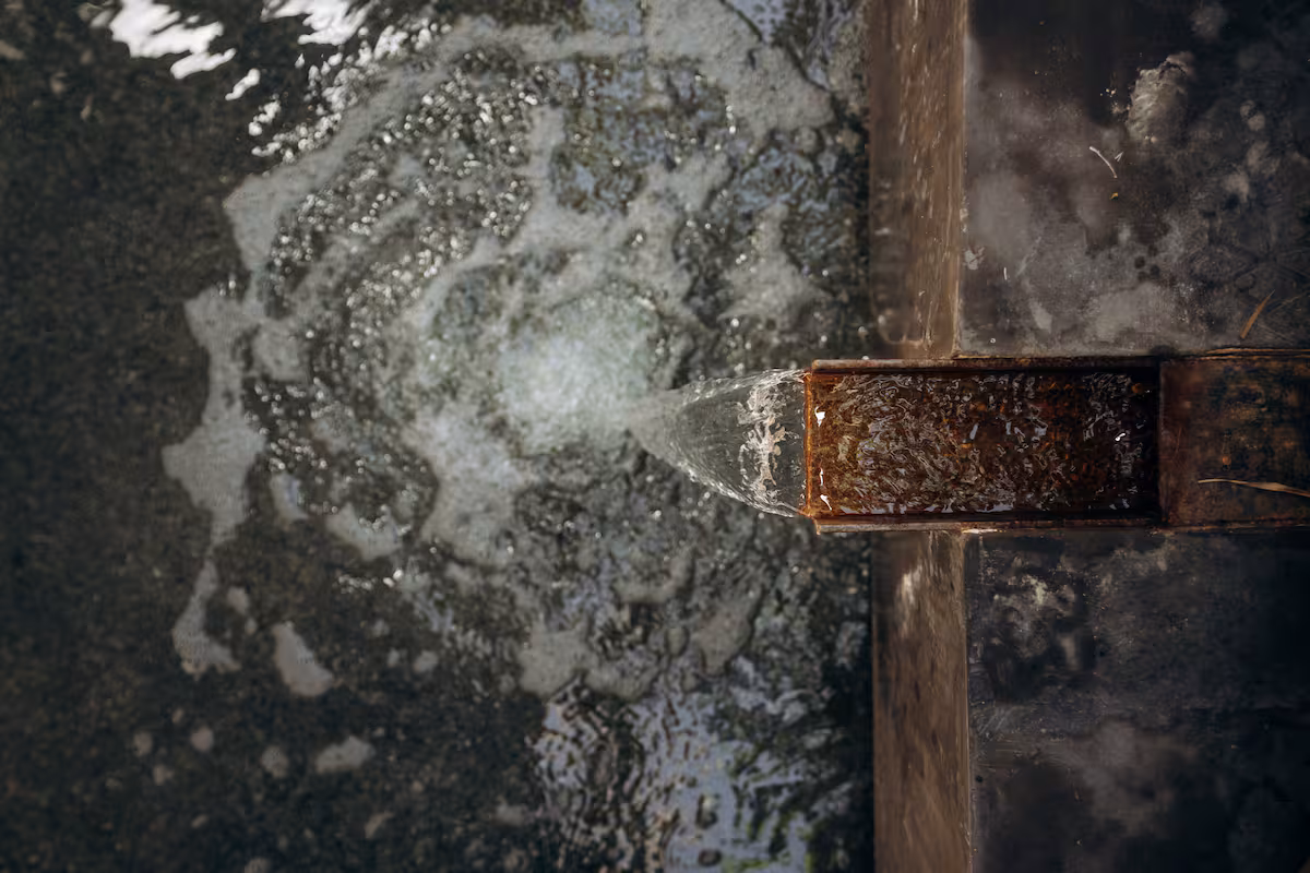 991d1f5b-9984-4f59-93b5-c61380c9d43d.jpeg